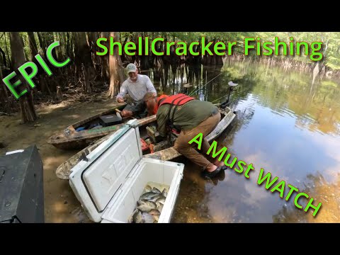 GET READY for the Wildest Shellcracker Fishing Adventure in 2024!